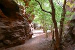 PICTURES/Burr Trail/t_Slot Canyon - Looking Out5.JPG